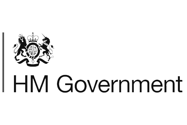 government