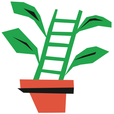 plant plant